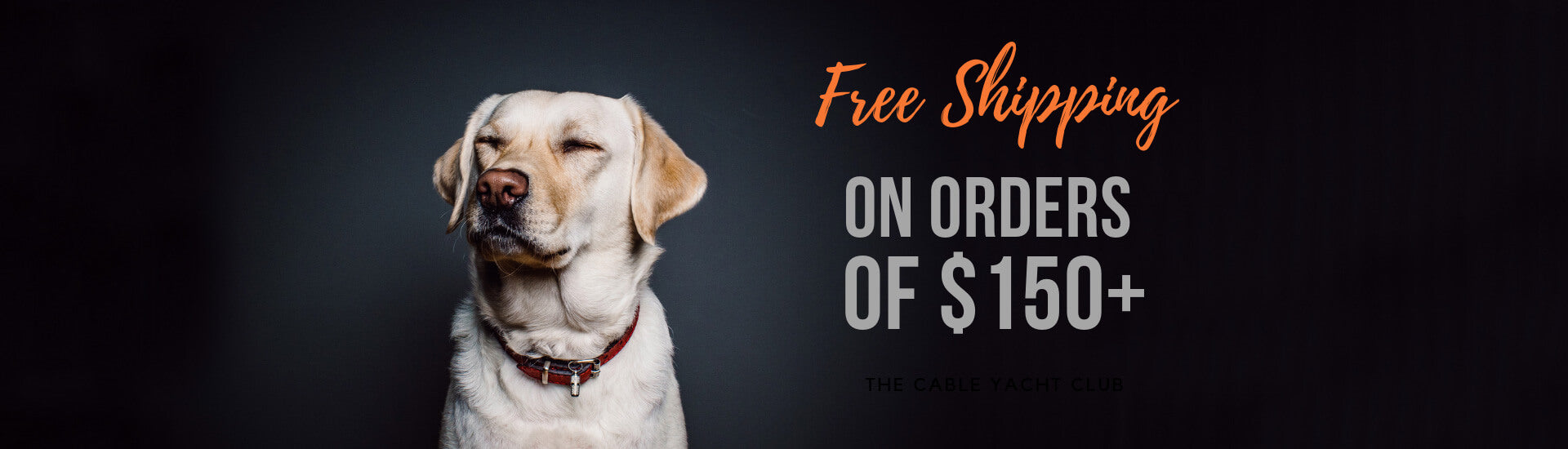 Adeo Pets Premium Pet Supplies Free Shipping