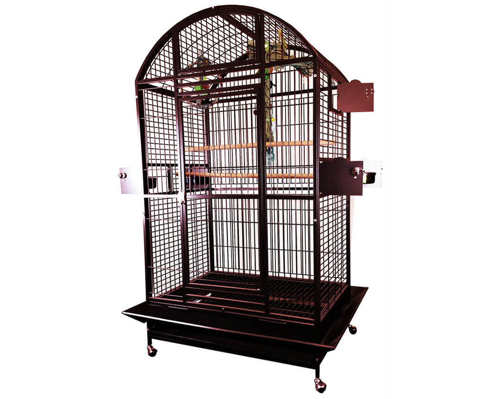 Exterior Window Bird Cage Dome Flights photo