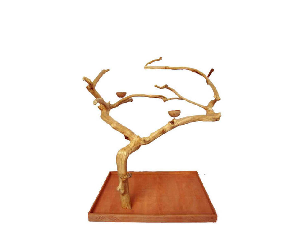 A-E-Large-Single-Java-Tree-AE200L