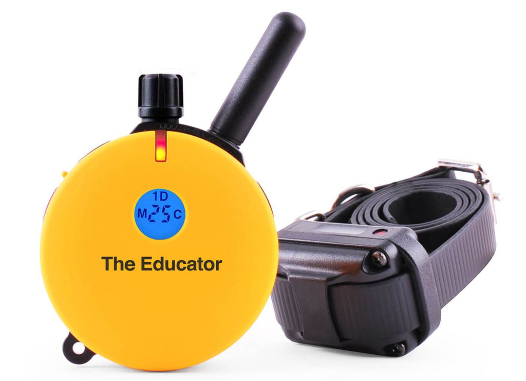 Easy educator dog collar shop