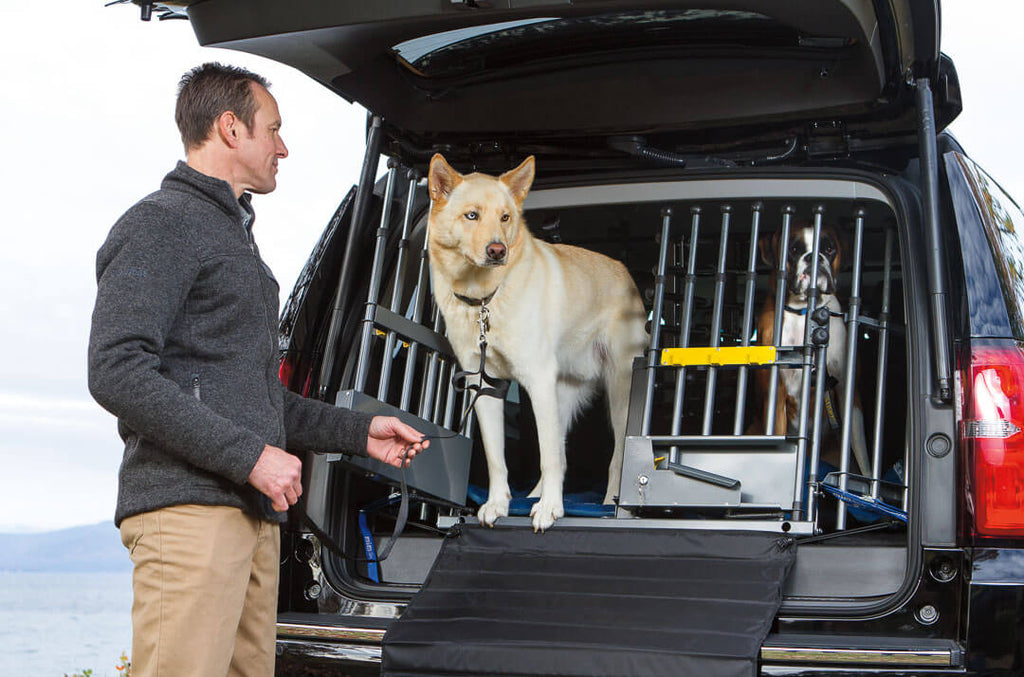 Dog rack for car sale
