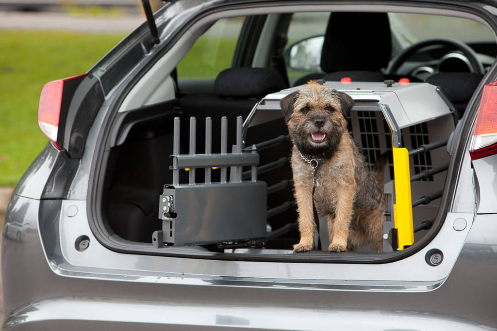 Hatchback dog crate outlet