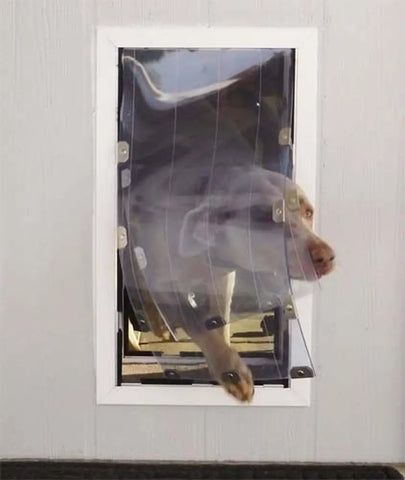 Security Boss MaxSeal Pet Door for Walls