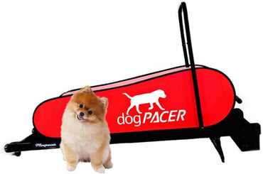 dogPACER MiniPacer Folding Dog Fitness Treadmill for Dogs Up To 55lbs