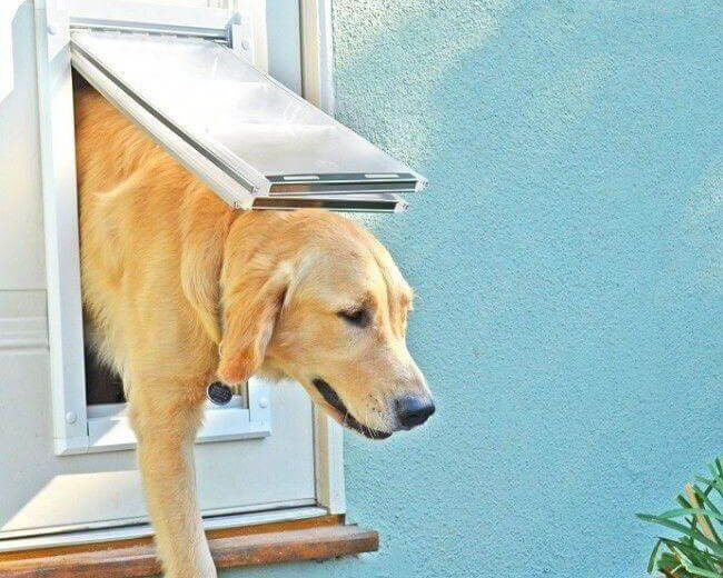 Endura Flap Door Mount Cat Dog Door