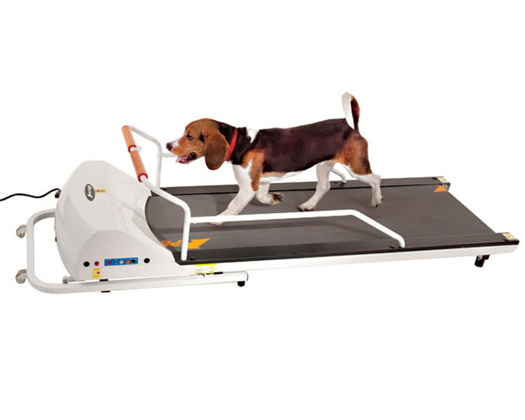 Goplus Dog Treadmill, Pet Running Machine for Small/Medium-Sized