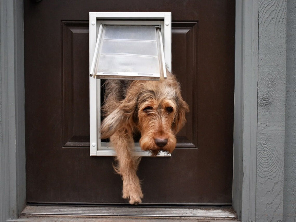 Endura Flap Door Mount Cat Dog Door