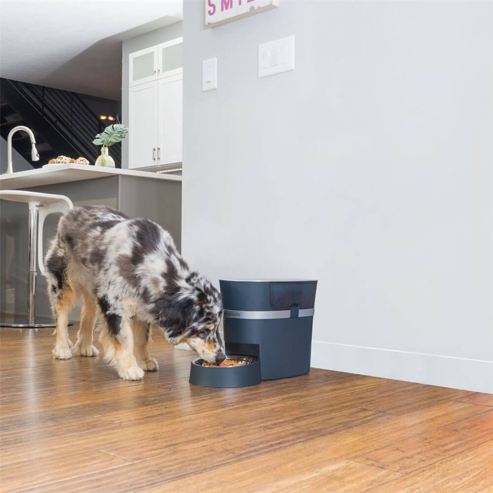 PetSafe Smart Feed Automatic Pet Feeder for iPhone Android, 12