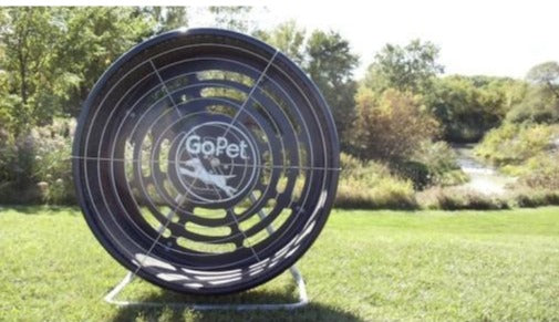 Gopet treadwheel for large dogs sales