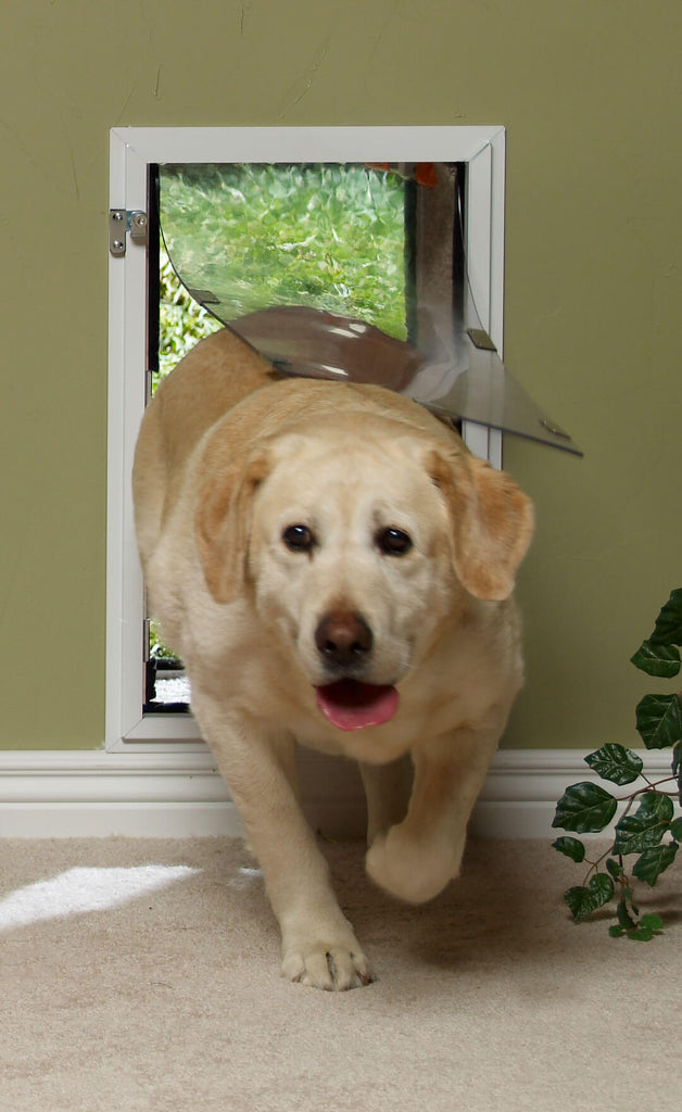 Hale dog new arrivals doors for walls