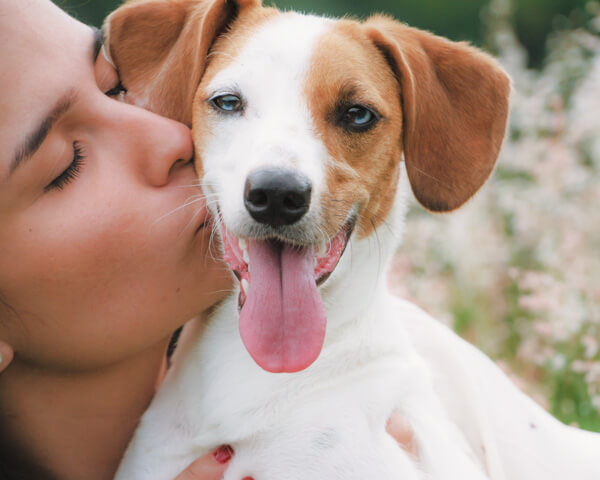 Top 4 Causes of Dog Bad Breath