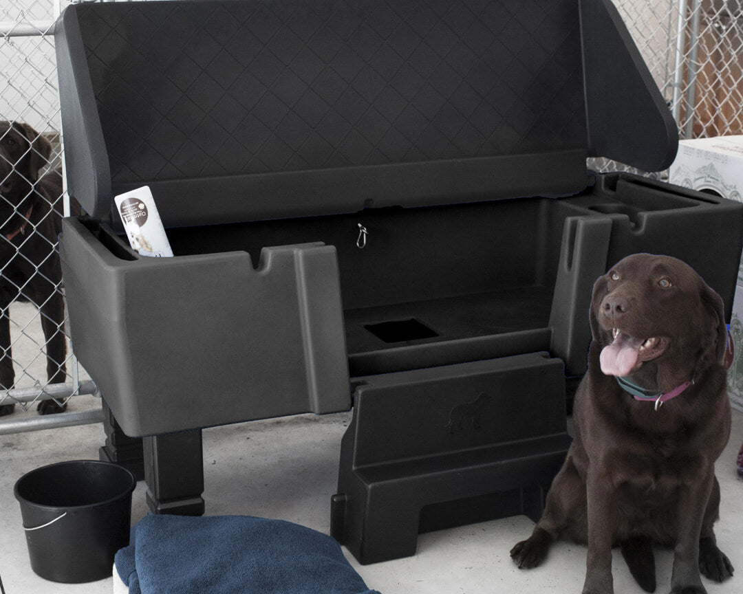 How to Set Up a Home Dog Grooming Station on Any Budget