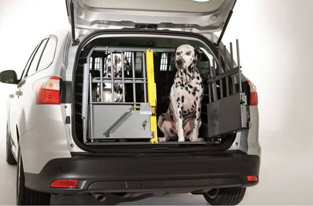 5 Reasons for Using a Dog Car Crate