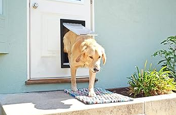 How to Choose the Right Dog Door Size