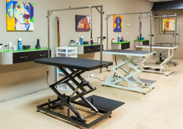 Hydraulic vs Electric Dog Grooming Table: Which Is Right for Your Salon?