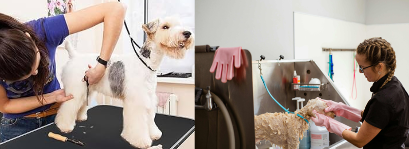 Are Professional Grooming Tables Worth It for Home Groomers?
