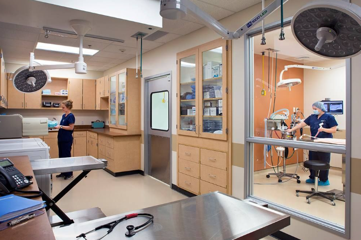 Best Veterinary Exam Tables for Your Practice (2026 Guide)