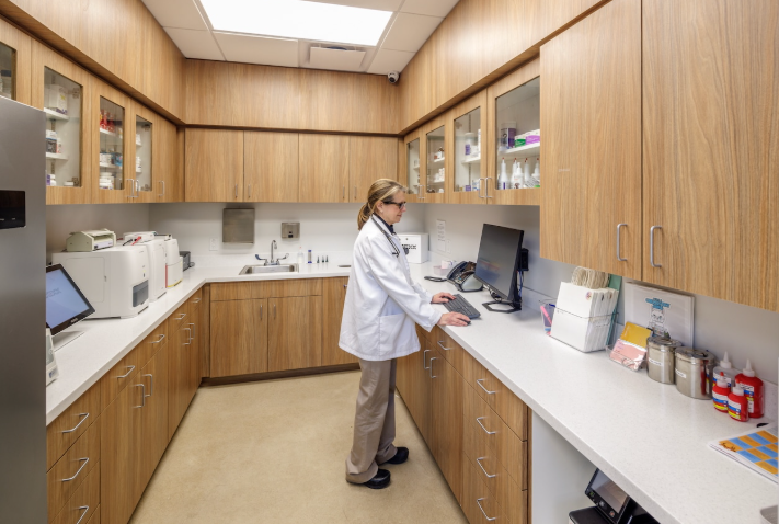 How to Equip a Veterinary Clinic on a Budget