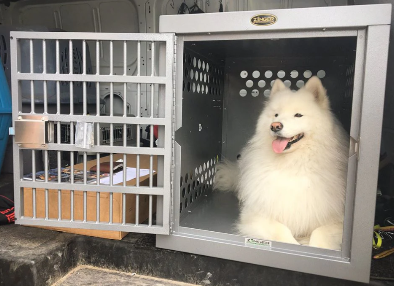 Best Aluminum Dog Crates for Home Use (2026 Guide)