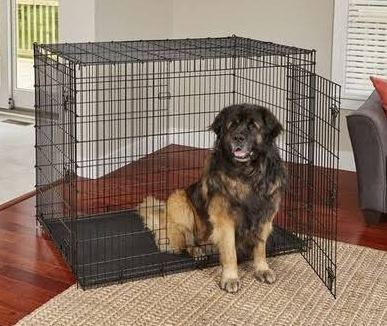 Aluminum Dog Crate vs Wire Crate: Which Is Better for Your Dog?