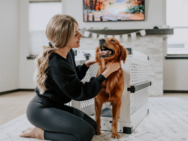 How to Choose the Right Home Dog Crate for Your Breed