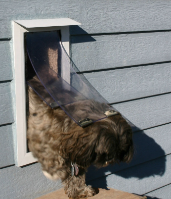 Best Pet Doors for Walls: A Complete Guide