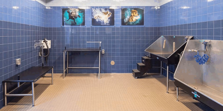 Best Professional Dog Grooming Tubs (2026 Guide)