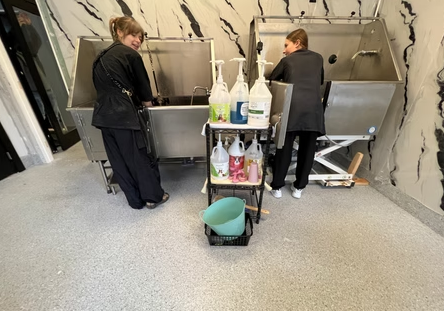 Dog Grooming Tub vs Regular Bathtub: Why It Matters for Your Business