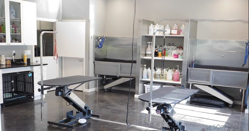 How to Set Up a Professional Dog Grooming Station