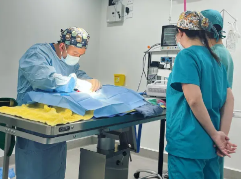 Electric vs Hydraulic Surgery Tables for Veterinarians