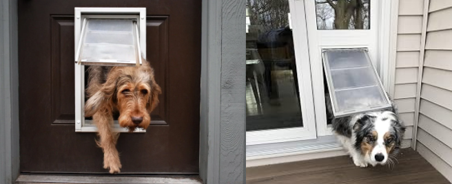 Endura Flap Pet Door Review: Is It Worth the Price?