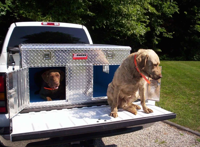How to Choose a Dog Box for Your Truck