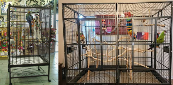 Best Bird Cages for Large Parrots (2026 Guide)