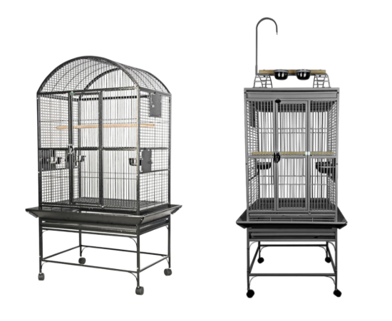 How to Choose the Right Bird Cage for Your Species