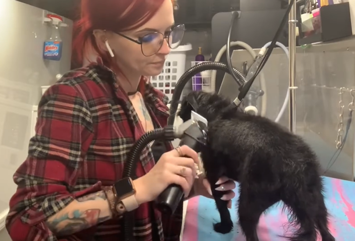 Hanvey Grooming System Review: What Makes It Different?