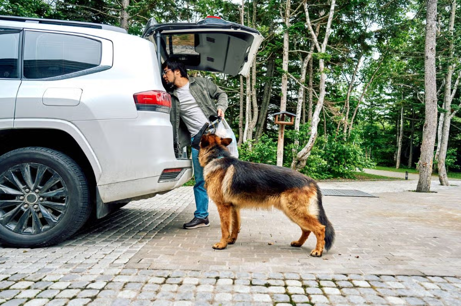 Best SUVs for Dog Owners in 2026