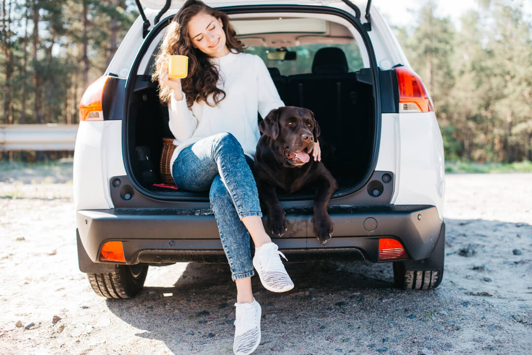 Safe Car Travel with Your Dog