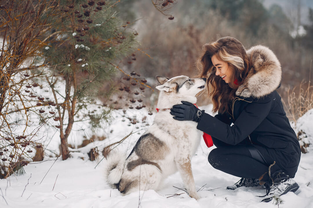 10 Cold Weather Tips for Your Dog