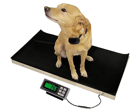 Avante-700-Veterinary-Scale