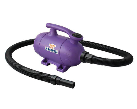 B-2-Purple-Main-Image