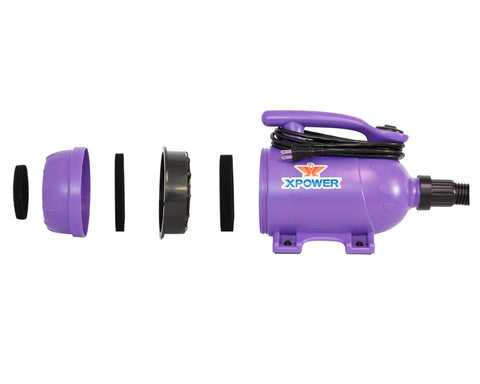 b-2-purple-filters