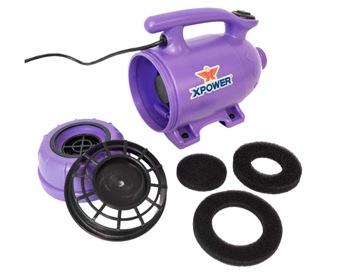 b-2-purple-open-filters