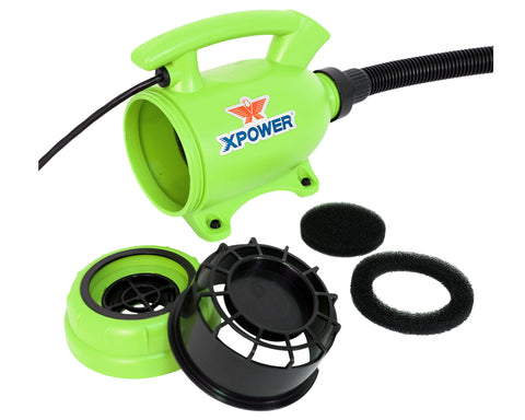 b-55-green-back-lid-open