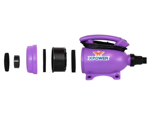 b-55-purple-filters