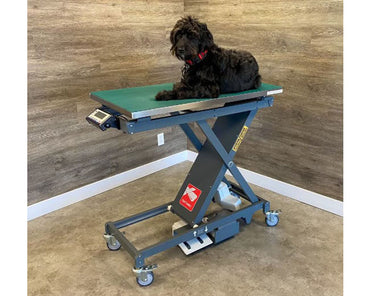 vet-table-scissor-veterinary-table-with-built-in-scale-sample