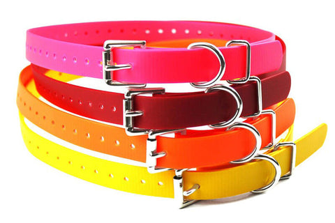 E-Collar Biothan 3/4" Collar