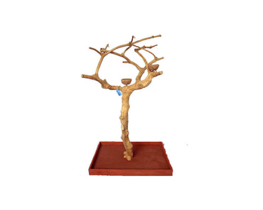 A-E-Small-Java-Wood-Tree-Box-AE250S