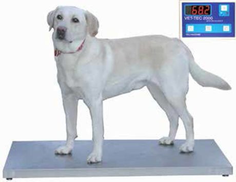 Petlift Walk-On 42" Digital Weight Scale