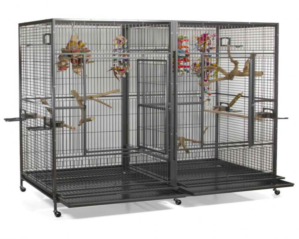 Beautiful view of Easy Install Macaw Cage System