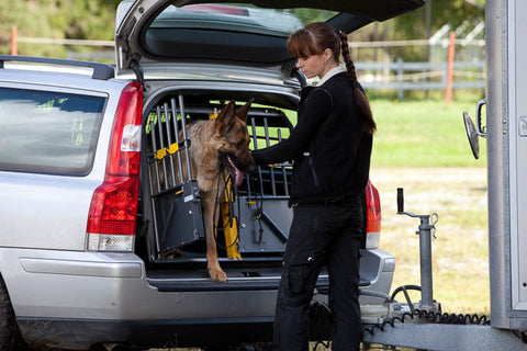 MIM Safe Variocage Double Dog Crate in use German Shepard Crash Tested Travel Crate